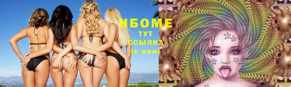 твердый Вяземский